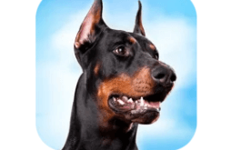 Latest Version Doberman Dog Simulator MOD APK