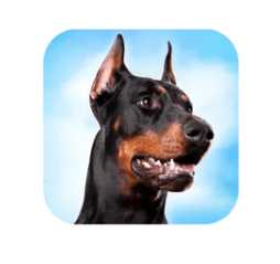 Latest Version Doberman Dog Simulator MOD APK