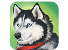 Latest Version Dog Simulator - Animal Life MOD APK