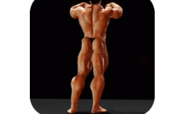 Latest Version Iron Muscle - Be the champion MOD APK