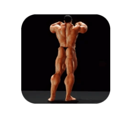 Latest Version Iron Muscle - Be the champion MOD APK