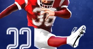 Download Flick Field Goal 22 for iOS APK