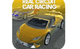 Download Real Circuit Car Racing MOD APK