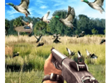 Duck Hunting challenge Download For Android