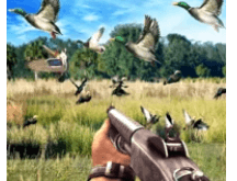 Duck Hunting challenge Download For Android