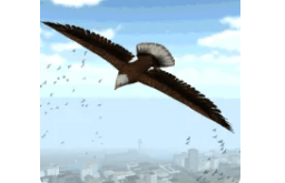 Latest Version Eagle Bird City Simulator 2015 MOD APK