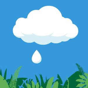 Rain Drop Catcher for iOS APK