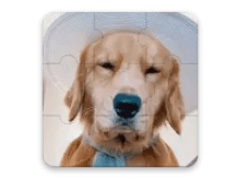 Dog Jigsaw Puzzle MOD + Hack APK Download