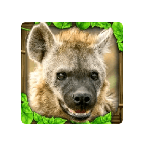 HyenaSim MOD + Hack APK Download