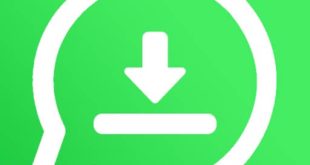 Status Saver for WA Story Save for iOS APK