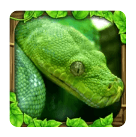 Download Snake Sim MOD APK