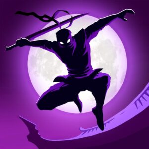 Shadow Knight Ninja Fight Game MOD