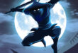 Shadow Knight Ninja Games RPG MOD