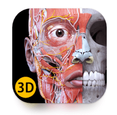 Download Anatomy 3D Atlas MOD APK