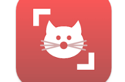 Download Cat Scanner Breed Recognition MOD APK