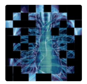 Download Chest X-Ray DEMO MOD APK