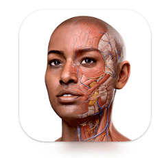 Download Complete Anatomy 2023 MOD APK