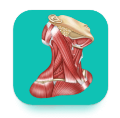 Download Easy anatomy. Medical atlas MOD APK