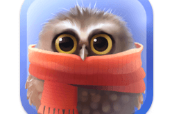 Download Little Owl MOD APK