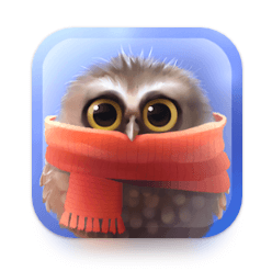 Download Little Owl MOD APK