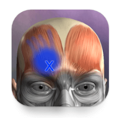 Download Muscle Trigger Point Anatomy MOD APK
