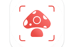 Download Picture Mushroom - Mushroom ID MOD APK