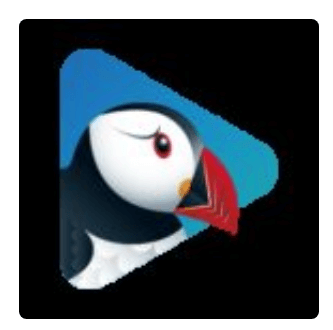 Download Puffin TV Browser MOD APK