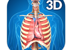Download Respiratory System Anatomy MOD APK