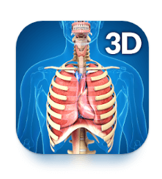 Download Respiratory System Anatomy MOD APK