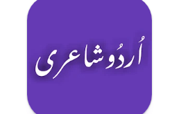 Download Urdu Poetry اردو شاعری MOD APK