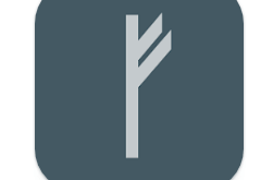 Download Write in Runic MOD APK