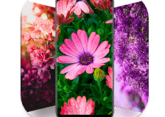 Download 10000+ Flower Wallpapers MOD APK