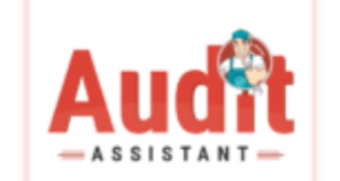 Download Audit Assistant - inspection MOD APK
