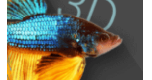 Download Betta Fish 3D Pro MOD APK