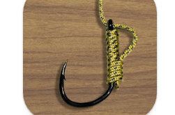 Download Useful Fishing Knots Pro MOD APK