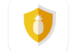 Download AlohaVPN Fast & Secure VPN MOD APK