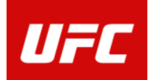 Download UFC MOD APK